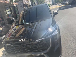 더 뉴 카니발 하이브리드 카니발